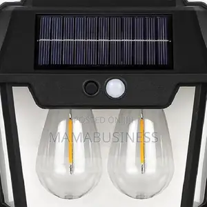 Double Solar Rechargeable Wall Security Sensor Bulbs