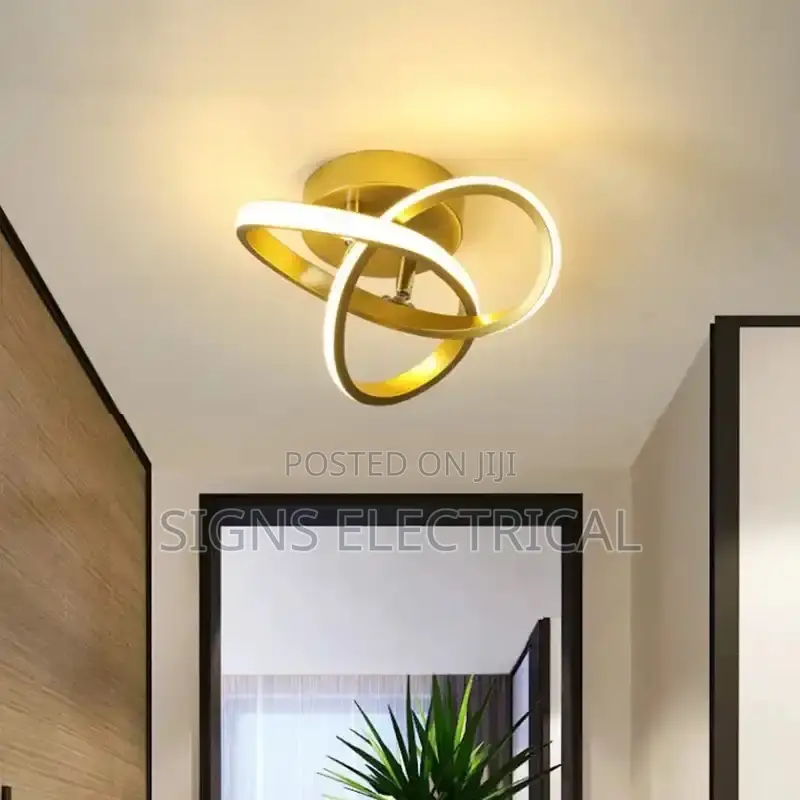 Modern Ceiling Lamp LED Creative Home Decoration Lamp