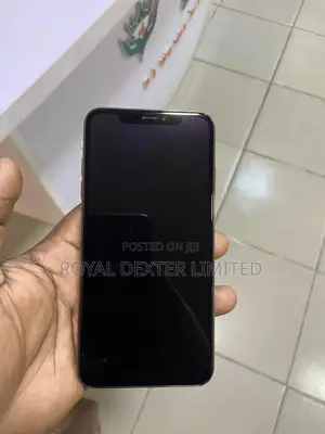Apple iPhone XS Max 256 GB Gold