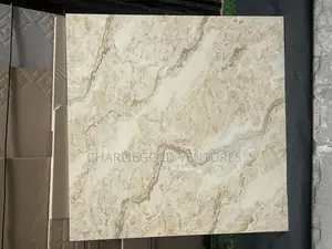 Unique Quality Sitting Room Floor Tiles