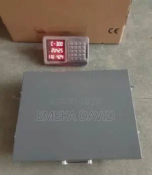 300kg Wireless Digital Scale