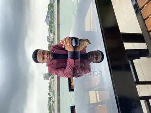 Travel Consultant