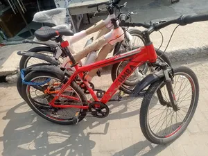 Bicycle Standard