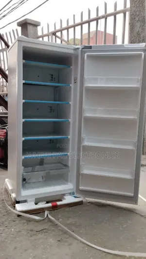 Original > Lg Upright Six Steps Inverter Freezer for Ice Block Maker