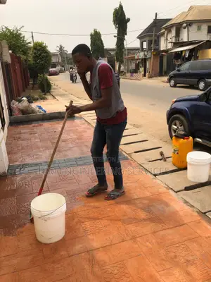 Sealer Raw Floor Maintenance Tiles Washer Color Pigment