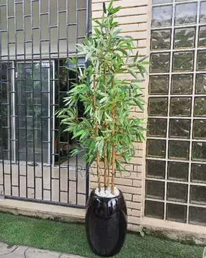 Four Stem Bamboo Plant In Black Classic Fiberglass Pot