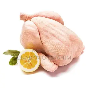 Fresh Processed Chicken