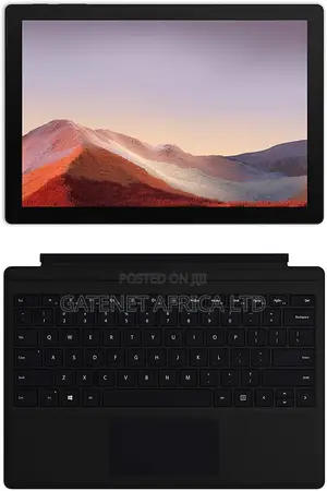 Microsoft Surface Pro 5 256 GB Gray