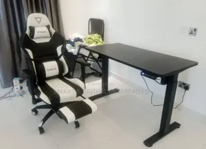 Adjustable Desk