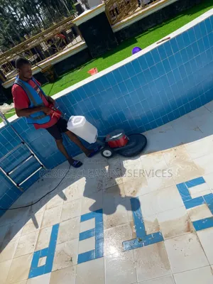 Pool Cleaning and Treatment