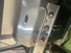 Gas and Charcoal Barbecue Machine