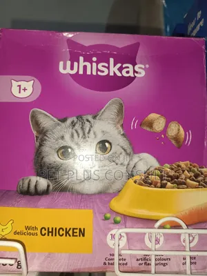 Whiskas Cat Dry Food