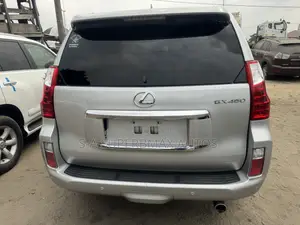 Lexus GX 460 Premium 2012 Silver