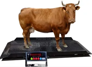 Heavy Livestock Scale With Digital Indicator, Veterinary