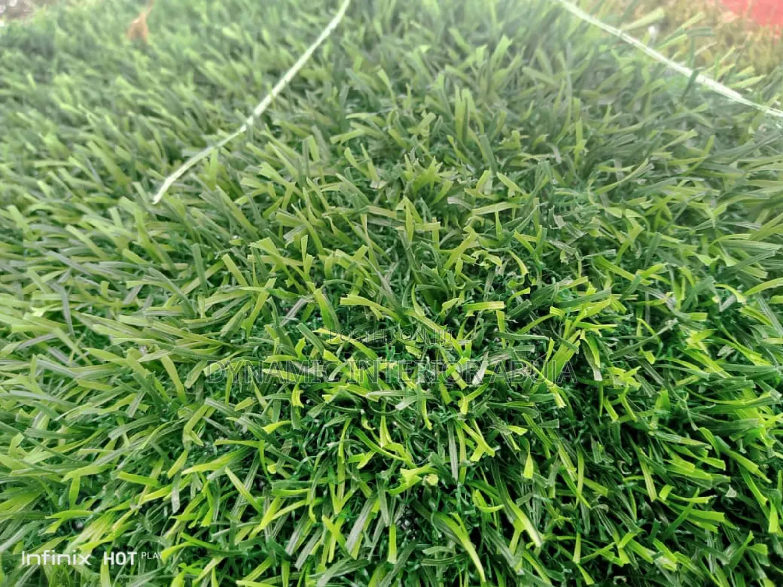 Grass Carpet