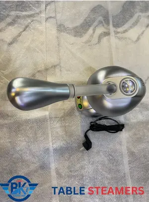 Portable Facial Steamer