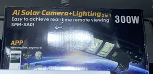 300w Solar Streetlight With CCTV Camera