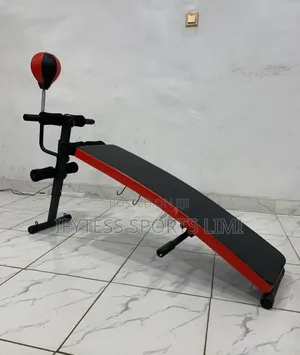 Sit-Up Bench With Punching Spinning Ball.