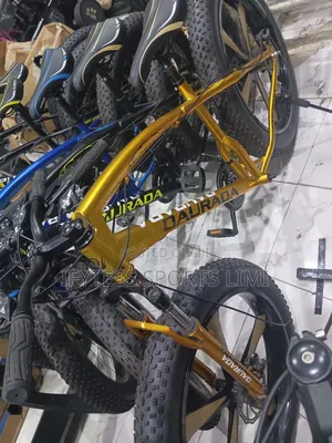 Big Tyre Bicycle Spoke Alloy Rim