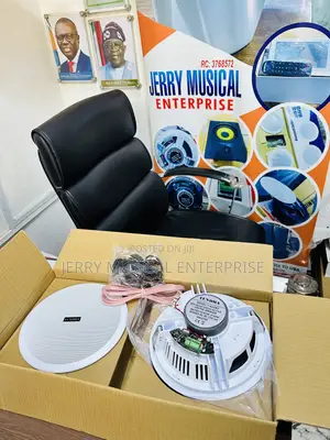 2in1 Bluetooth Ceiling Speakers