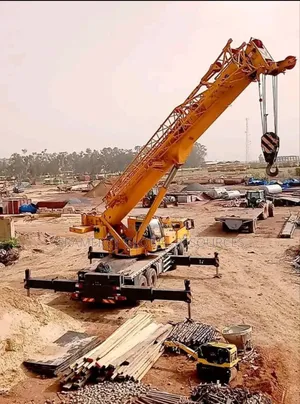 Mobile and Crawler Crane for Rent and Hire