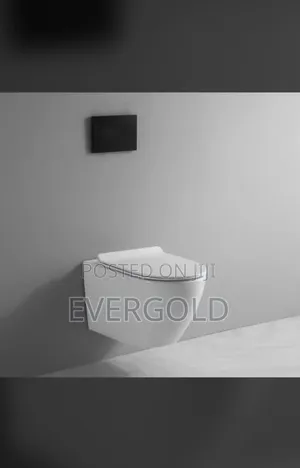 Conceal Water Closet White Available