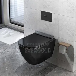 Conceal Water Closet Black Available With Accessorie