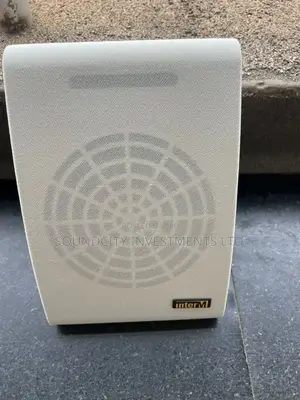 Unit Of Inter'm Wall Hanging Speaker