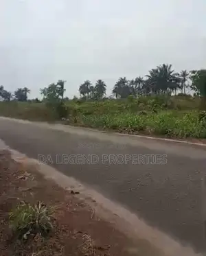 Over 500 Plots of Land for Sale