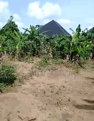 This Is Multi Purpose 3 Plots of Land for Sale
