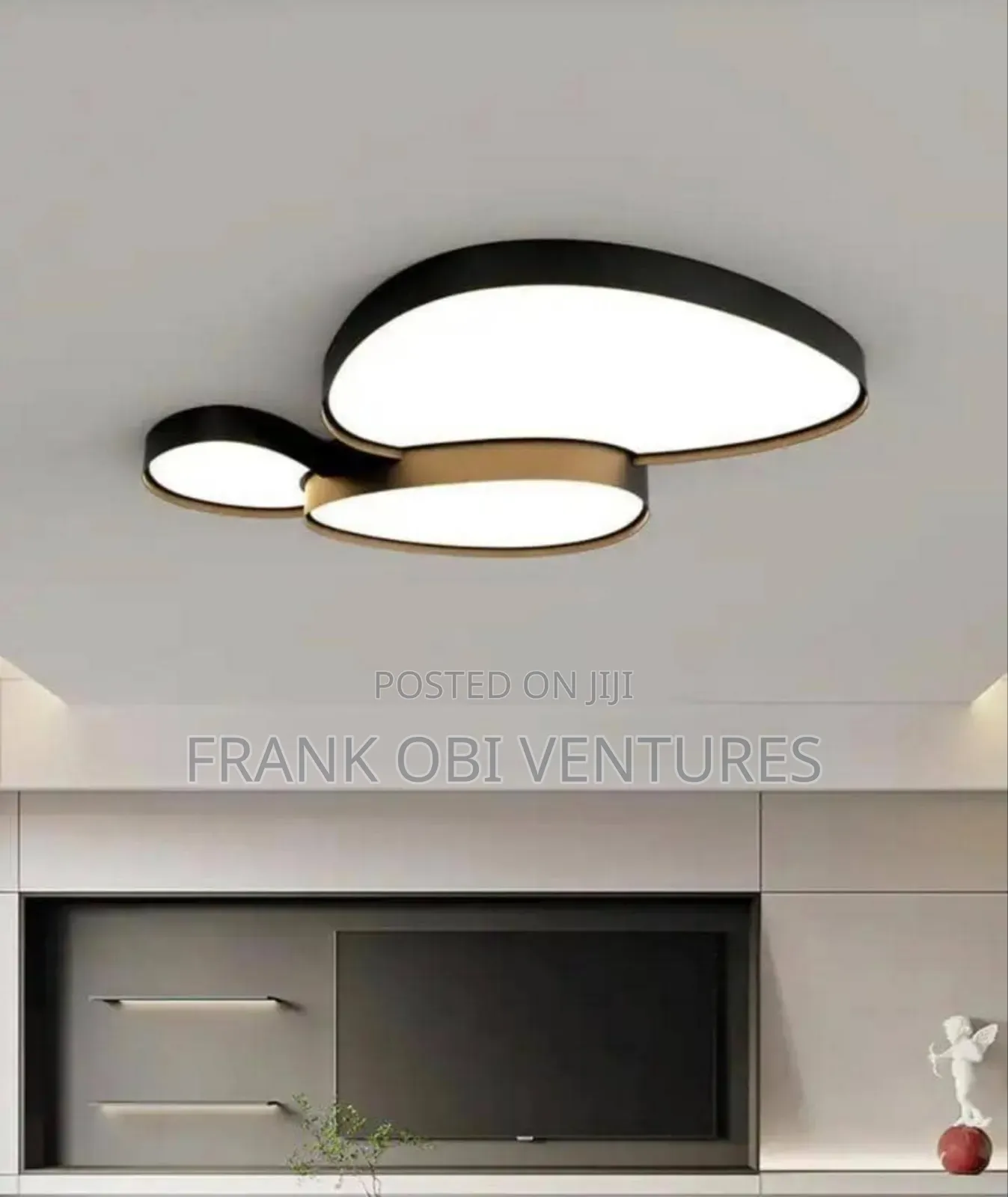 Ceiling Fittings