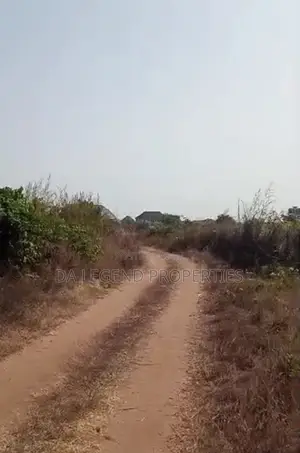 One Plot of Land in a Buy and Build Environment