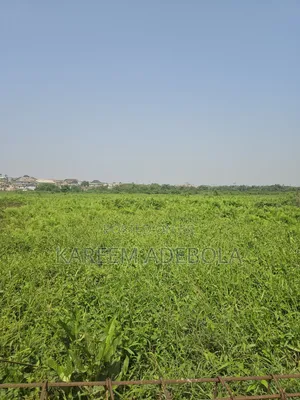 50 Hectares Available Land in Guzape 2 Abuja