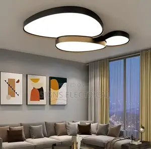 Nordic Elliptic Led Ceiling Lights Smart Dimmable