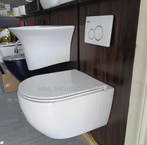 Round Wall Hung Wc