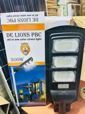 300watts De Lions All One Solar Street Light 💡