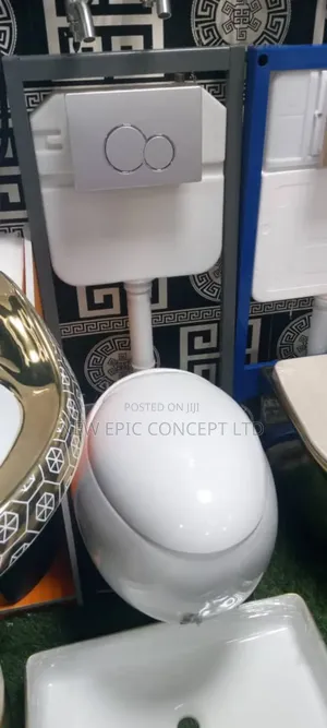Egg Toilet Wall Hung