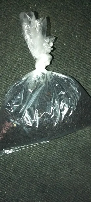 Black Seed