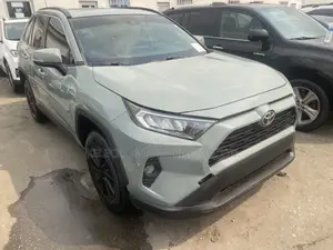 Toyota RAV4 XLE AWD 2019 Gray