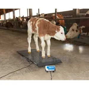 Digital Scale for Animals 1500kg