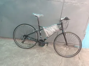 Raleigh Sport Bicycle