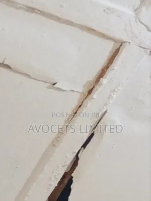 Termite (Deemark) Control