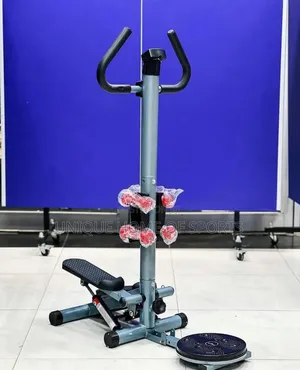 Standing Stepper With Dumbells And Twister