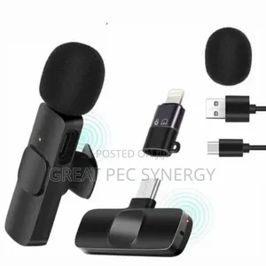 2 in 1 Wireless Microphone