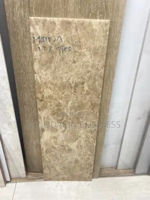 20x60 Spanish Glazed Wall Tile Kitchen