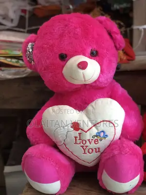 Valentine 50cm Teddy Bear