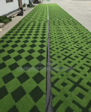 Carpet Grass Rug of Durability / You Can Pay on Delivery