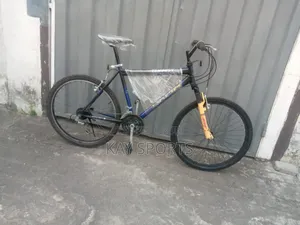 Tempest Sport Bicycle
