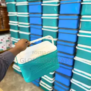 Souvenir Cooler and Food Warmer Wholesale