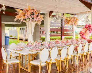 Luxury Vip Chairs Available